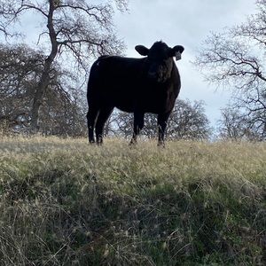 Meet your Posher, Kendra